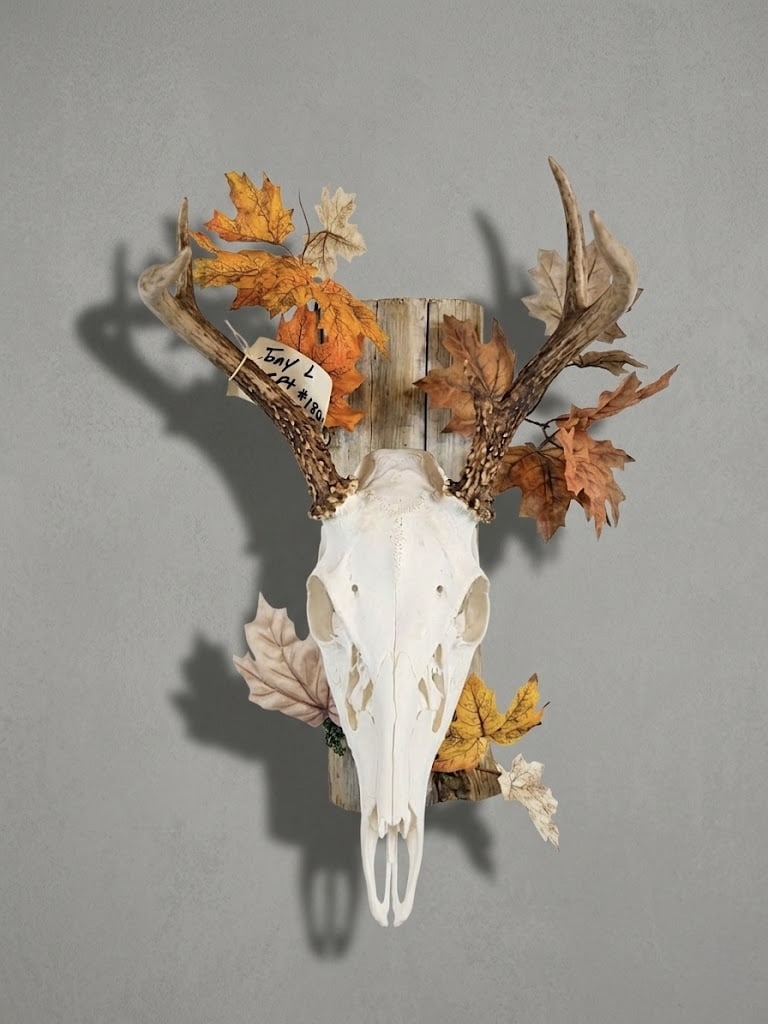 European skull mount paired with habitat foliage detail