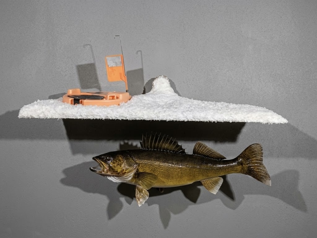Ice fishing walleye diorama with a winter scene that gives the fish natural motion