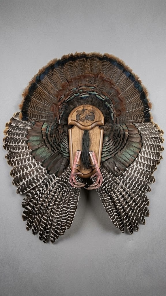 Turkey fan mount with a crisp tail spread on a carved wooden plaque